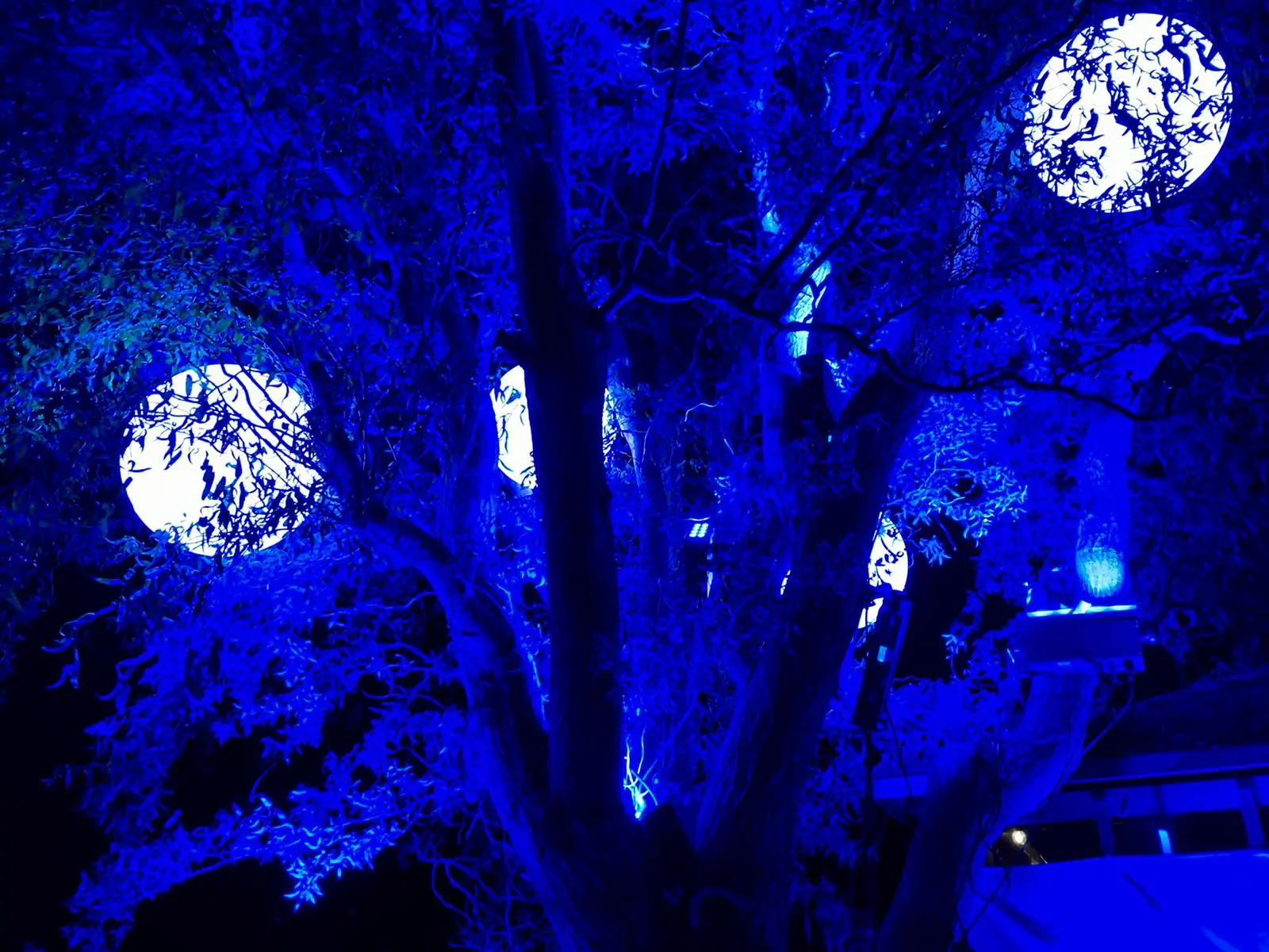 Familienfest im Freien